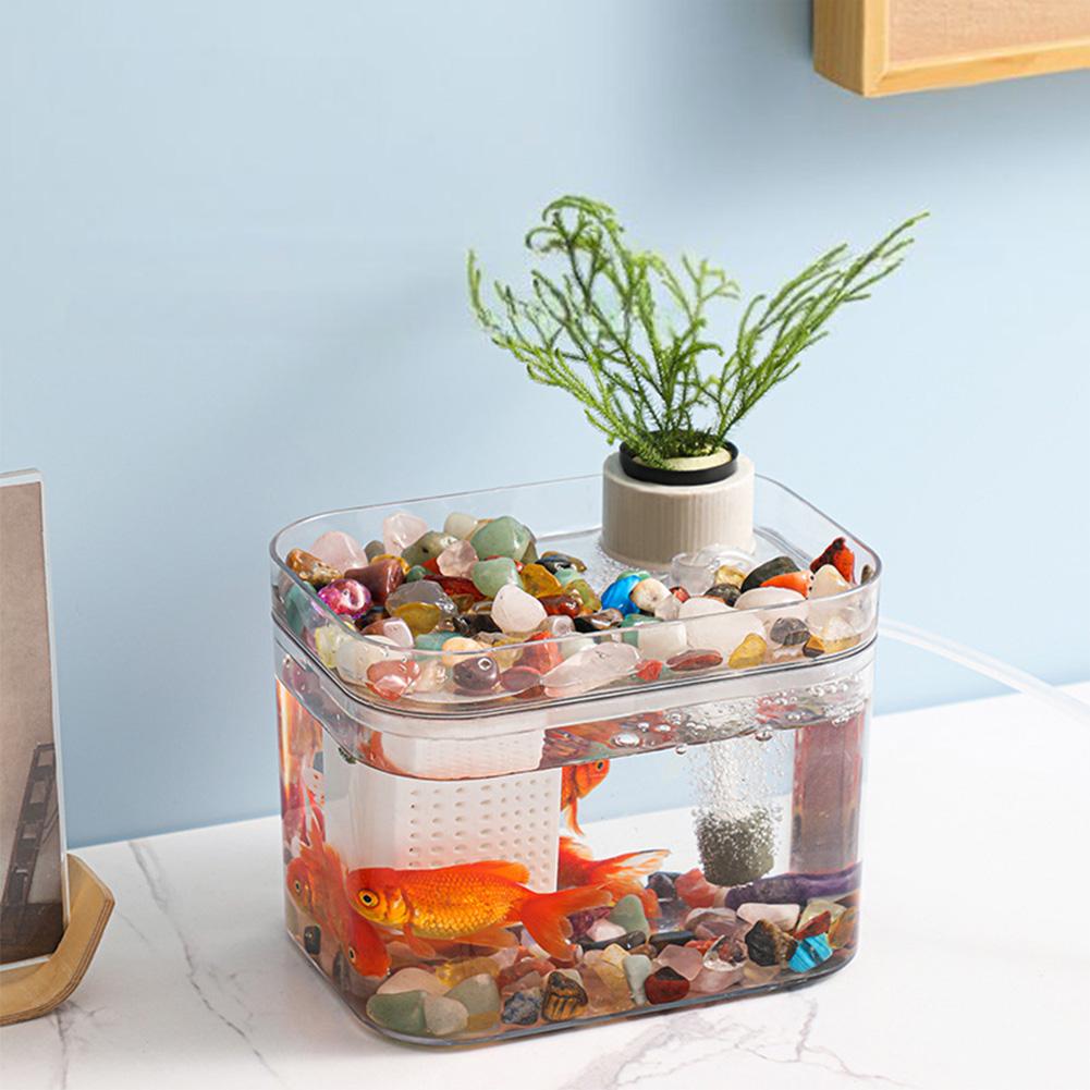 Fish Tank With Lid Small Transparent Fish Tank With USB Air Pump Ecological Aquarium Tanks For Living Room Home Desktop Decor