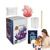 Easy To Grow Science Experiments Toy Colored Crystals Crystal Making Kit  Teens