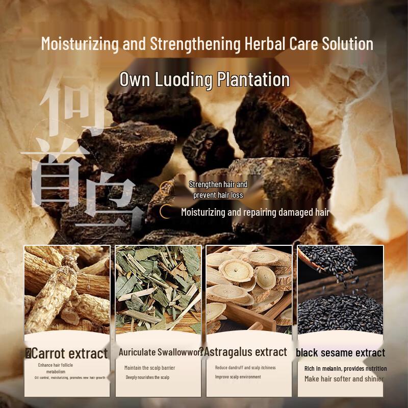 BaWang He Shou Wu Anti-Hair Loss Shampoo