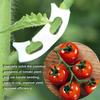 100 Pezzi Clip per Allenamento Piante a 90 Gradi Leggere Regolabili in PP Piegapiante Clip da Giardinaggio