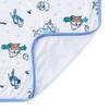 Pokemon Cooling Blanket OTENKI TEAM Yukifurashi Japan NEW