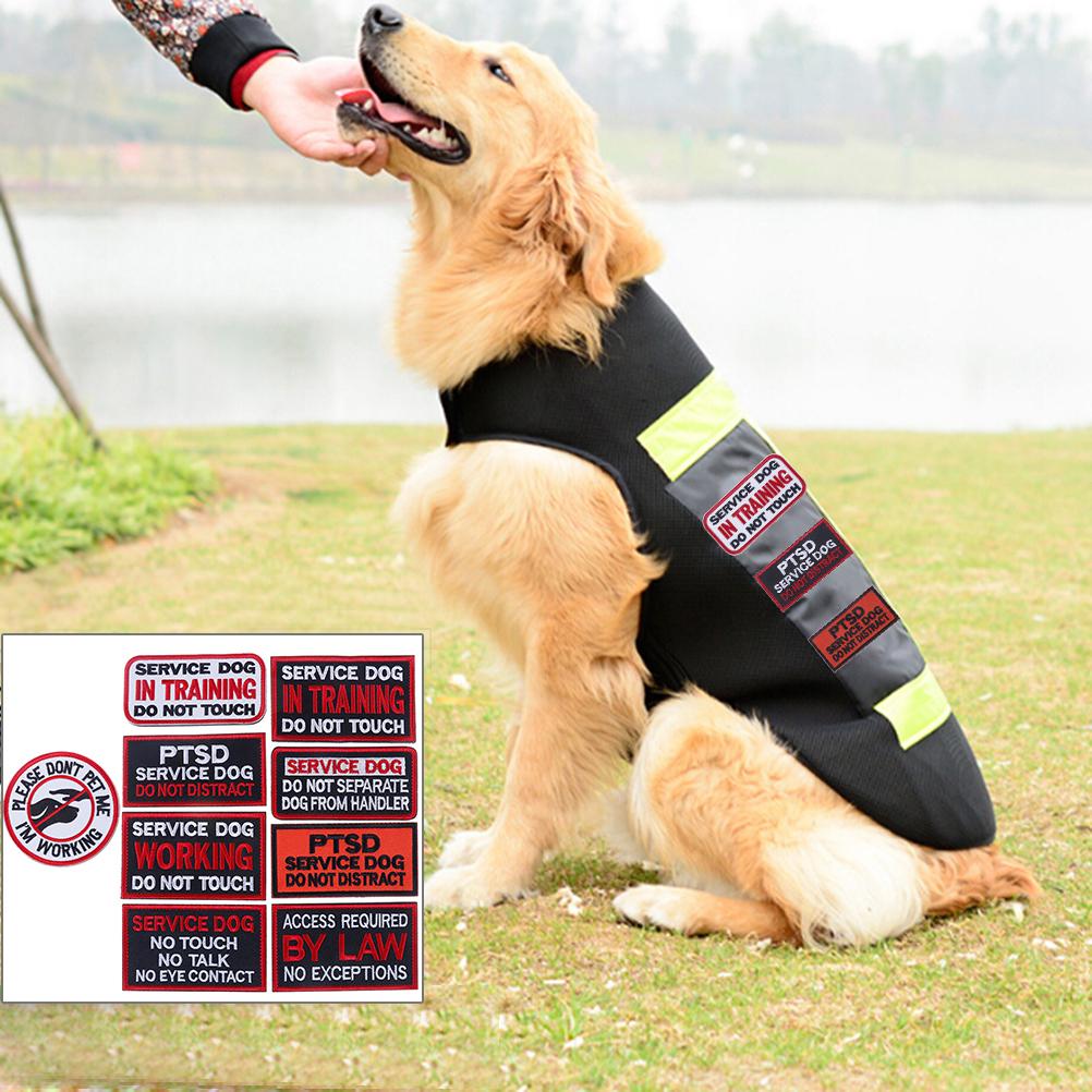 service dog clothes
