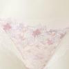 Wacoal Subtle Lace Mesh Panties Dpt0466s