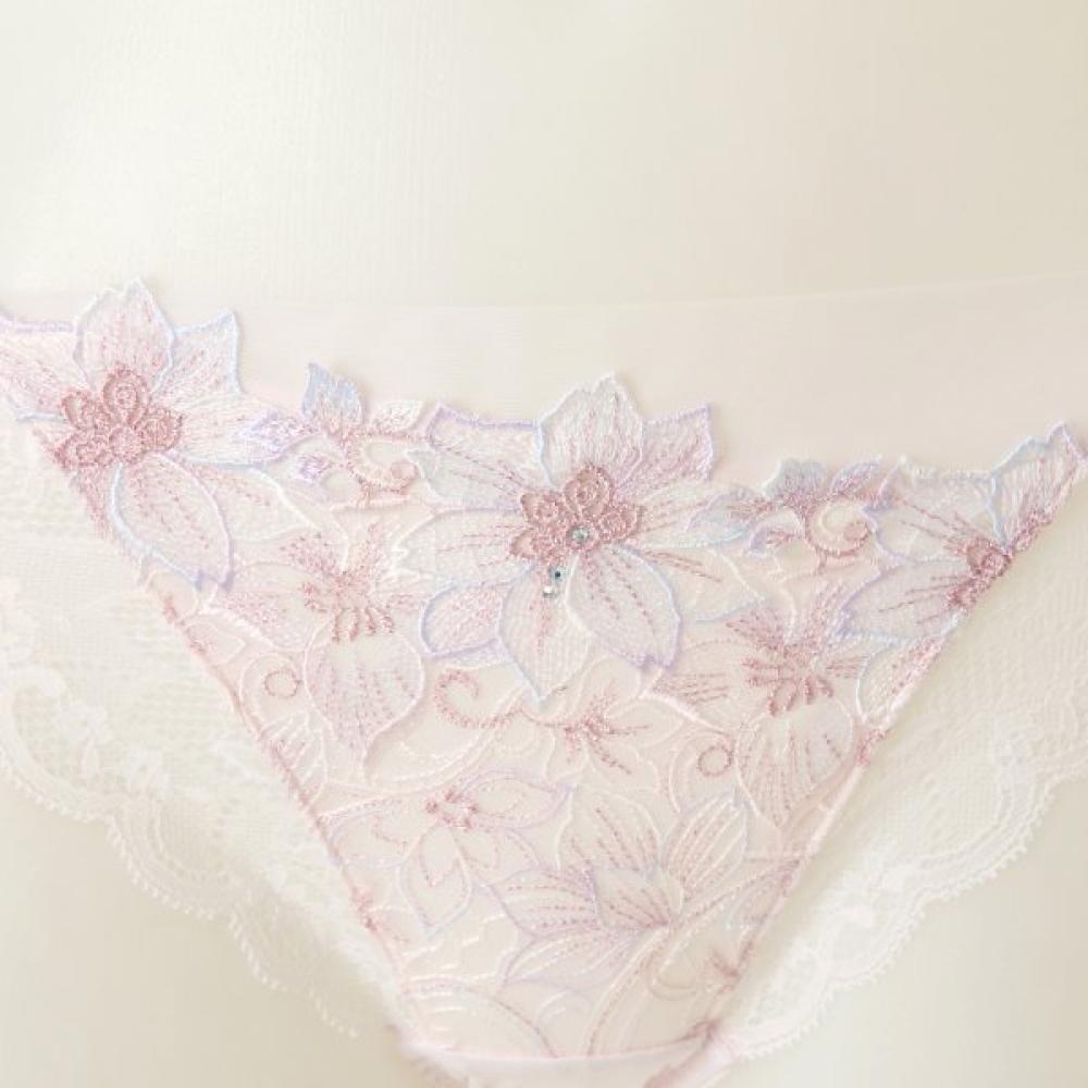 Wacoal Subtle Lace Mesh Panties Dpt0466s