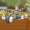6Pcs/Set Simple Cute Lazy Cats Figurines Cartoon Design Micro Landscape Creative Kitten Shape Miniatures