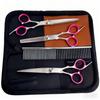 Portable Pet Grooming Scissor Set: Flat & Curved Hairdressing Tools