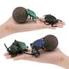 Cross-Border Insect Wildlife Model: Beetle & Scarab for Children's Science Education and Sand Table Decor