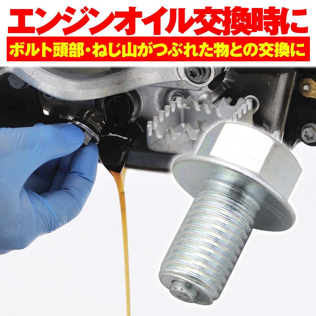 Daytona 17522 Replacement Drain Bolt for Motorcycles with Magnets M10 X 0.63 In (16