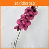 Phalaenopsis Aphrodite Rch Artificial Flower For Wedding Decor And Home Arrangement