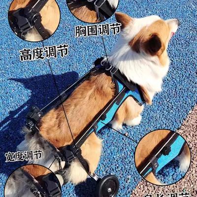 Cadeira de rodas para passear com cães idosos com problemas de mobilidade