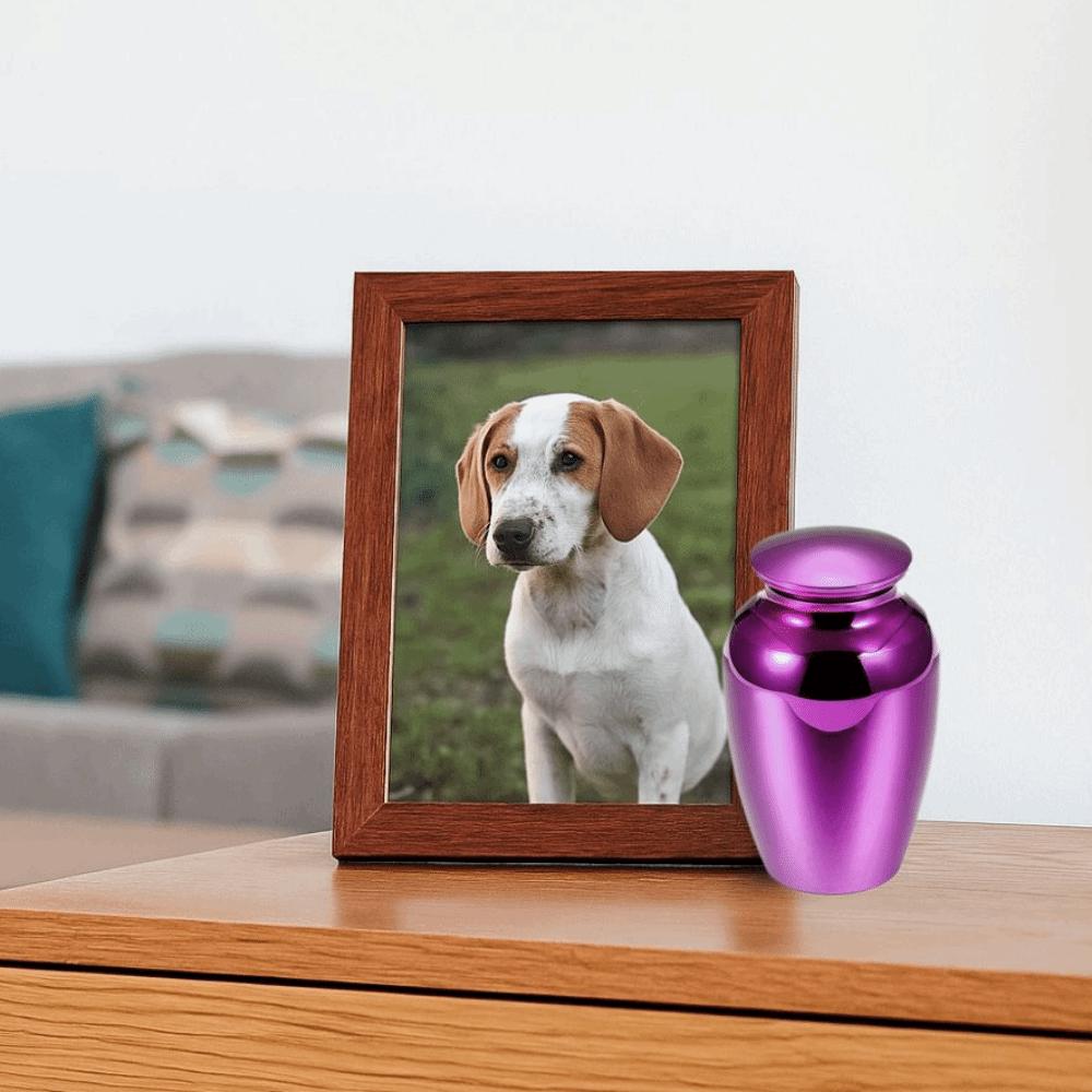 Multiple Colors Pet Ashes Holder Small Mini Pet Memorials Urn  Personalized Souvenirs