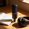 Audio-Technica AT2035 Cardioid Condenser Microphone Bundle with Boom Stand XLR Cable Pop Filter and Polishing Cloth
