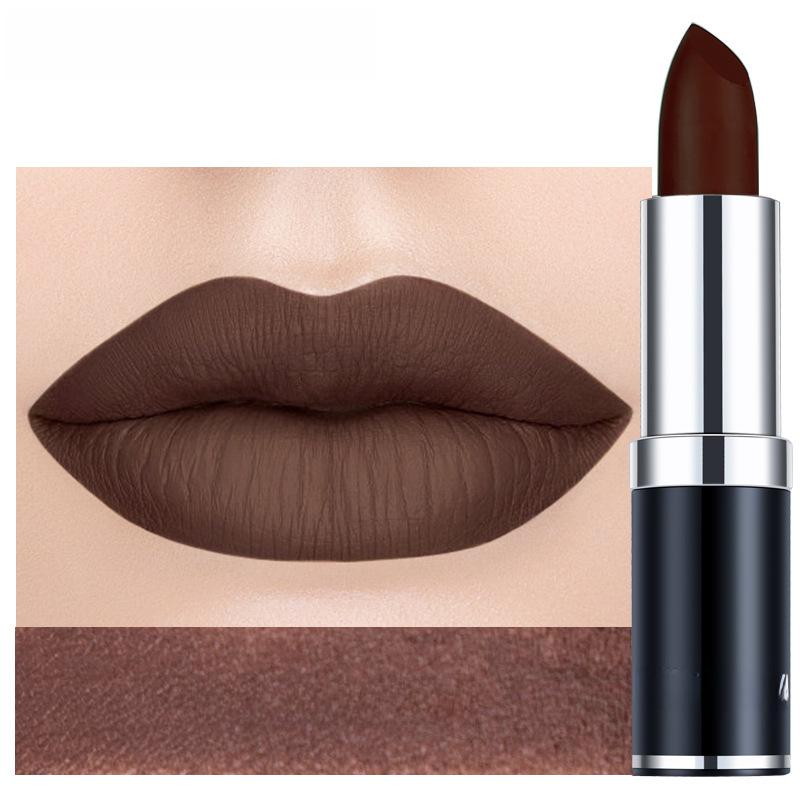 

Бархатная матовая губная помада Стойкая мягкая увлажняющая формула Невыцветающий насыщенный цвет Уход за губами 10#