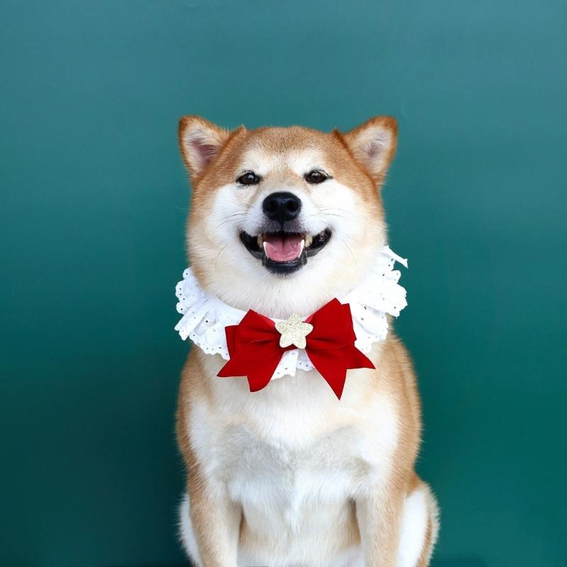 Puppy Christmas Supplies Beret Hat with Necklace Photo Props Festive Collar Christmas Photo Props Supplies