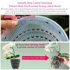Meshpot 12 Cm Plastic Orchid Pot Inner Clear Orchid Planter Double Layer Good Outlooking Plants Container Garden Accessories