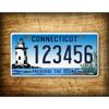 Customizable 6x12 Inch Metal License Plate for Car & Wall Decoration