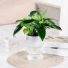 1PC Double-layer Solid Color Soil Cultivation Flowerpot Decorative Potted Pot Desktop Ornaments 3 Colors