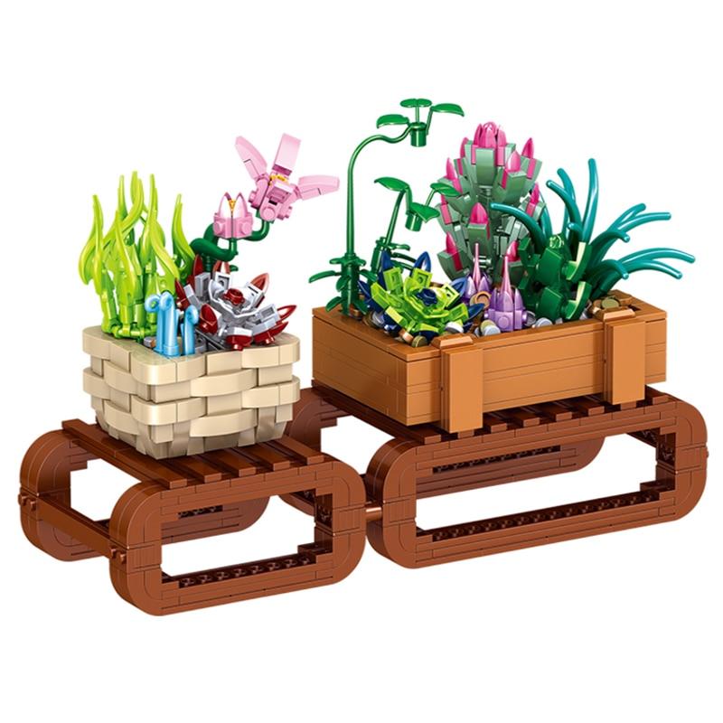 elefantenbaum zimmerpflanze Elefantenfuß kaufen | Beaucarnea 'Recurvata' main image 0