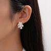 Silver Needle Zircon Double-Layer Flower Stud Earrings: Elegant, Unique, High-End Accessories for Women.
