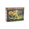 Dinosaur Skeleton DIY Toys Educational Puzzles Model Set For Kids Over 6 Years Old