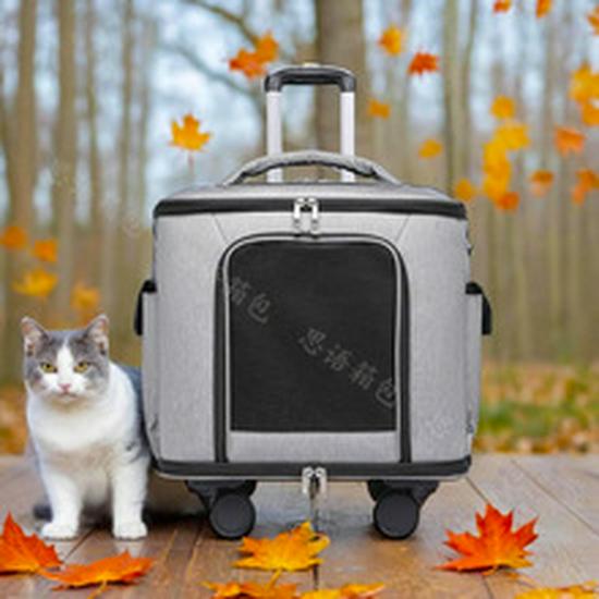 Foldable Breathable Pet Stroller & Backpack: Large Capacity, Portable for Cats