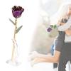 Blumengeschenke Harz Blume 24K vergoldet Blume für Geburtstag Valentinstag Dekorationen Ornamente mit Sockel