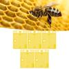 5 Stück Wiederverwendbarer Königinnenkäfig Tragbares Königinnen-Einführungswerkzeug Bienenstock-Zuchtgeräte-Set