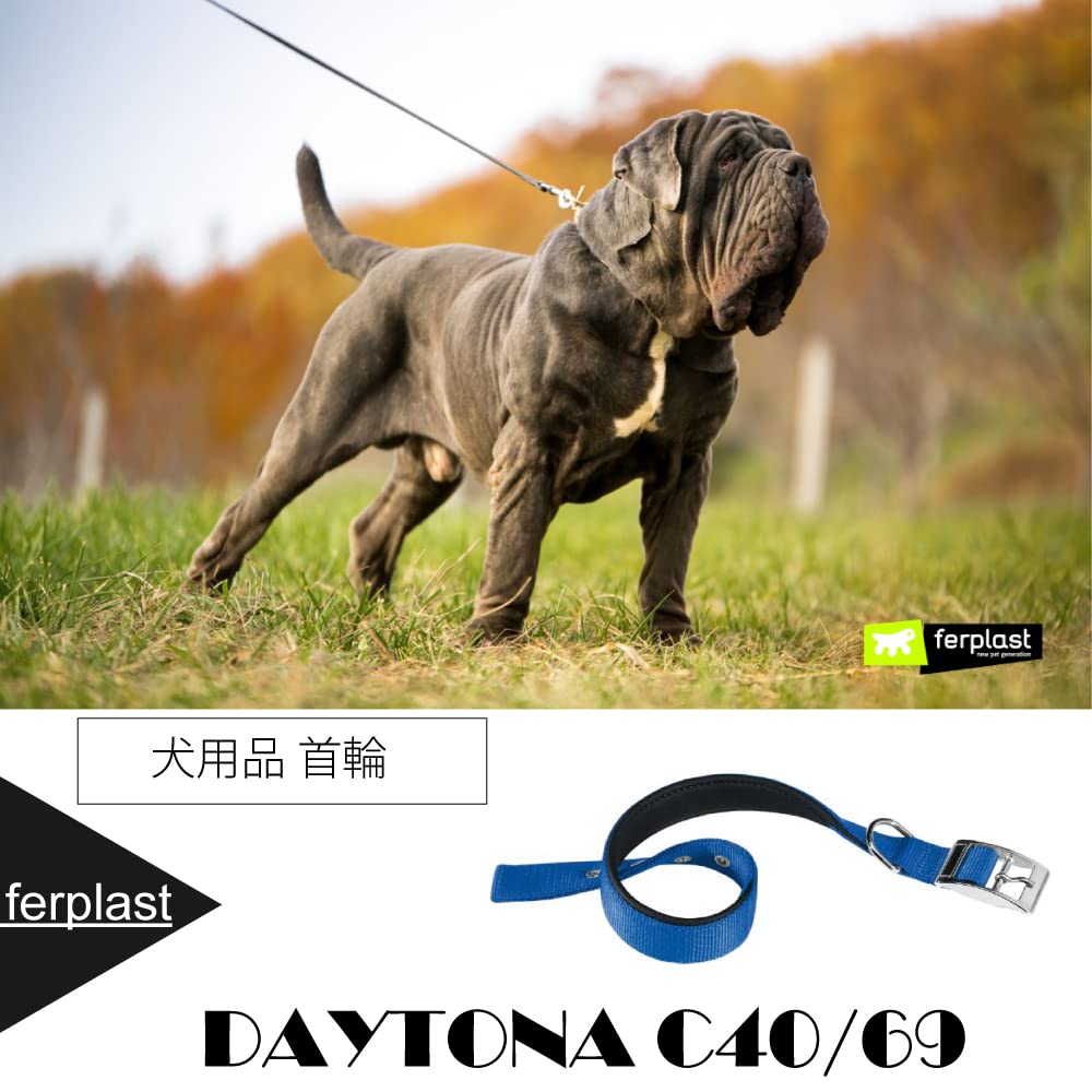 Ferplast Daytona Collar, Blue, C, 40/69