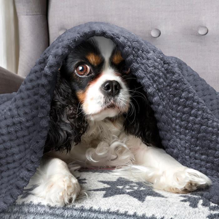 Nobleza - couverture en tissu doux pour chiens, chats, lapins… lavable machine, 120*100cm. gris.