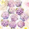 10 Pcs/pack PET Stickers Plant Flowers Decor Stationery Stickers for Junk Journal DIY Scrapbooking Label Journal Stickers