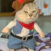 Cat Clothes Funny Cosplay Cowboy Costume For Small Medium Dogs Cats Puppy Outfits Novelty Kitten Dress Up Outfits Pet Supplies