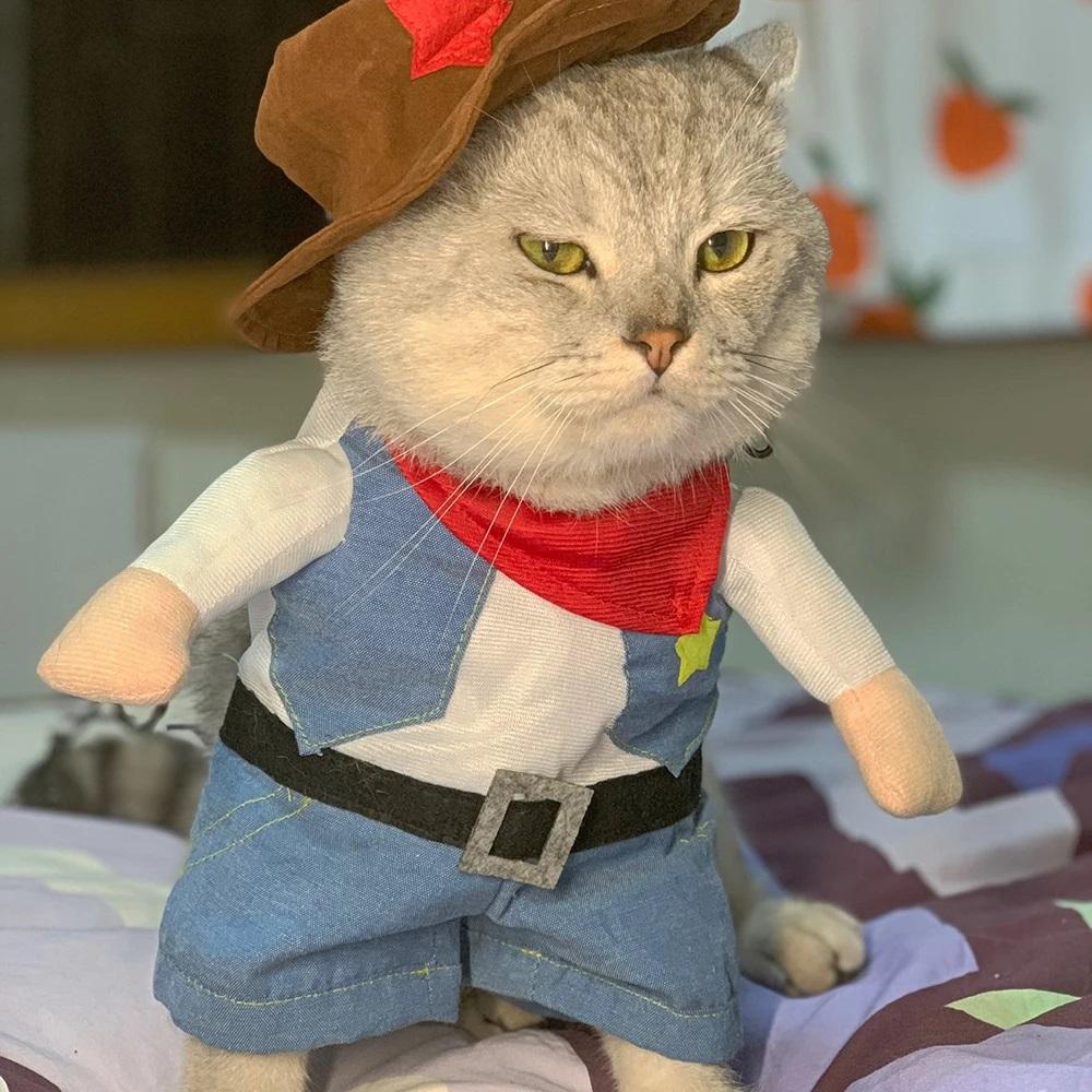 Cat Clothes Funny Cosplay Cowboy Costume For Small Medium Dogs Cats Puppy Outfits Novelty Kitten Dress Up Outfits Pet Supplies