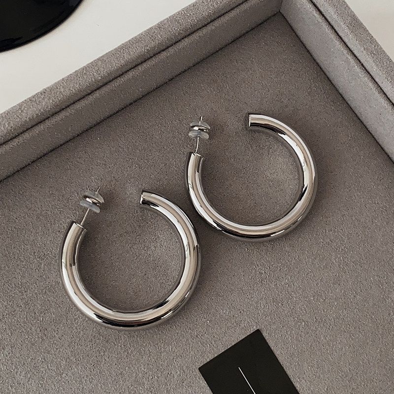 Silver Metal Hoop Earrings 2026 New Popular Style High-End Earrings Light Luxury Unisex Simple European and American Style Earrings
