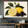 2D plane, lemon and blackberry fruit design background fabric, party studio decoration, polyester fiber