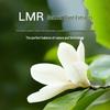 Xiaomi Mijia Smart Aroma Diffuser and Air Purifier