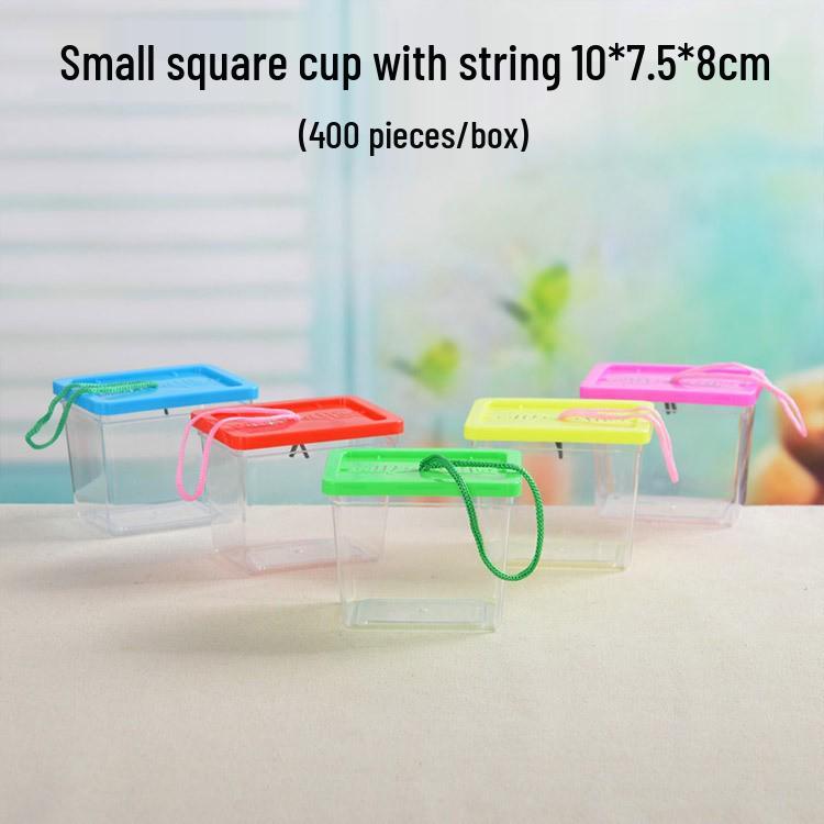 Clear Plastic Fish Tank with Sunning Platform - Available in Large, Medium, Small; Perfect for Goldfish or Turtles.