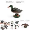 Bird Model Collection Featuring Greenheaded Duck And Gray Duck For Home Decor And Educational Use
