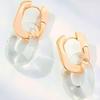 European Geometric U-Shaped Irregular Transparent Resin Ring Earrings