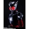 TAMASHII NATIONS S.H.Figuarts (Real Bone Carving Method) Kamen Rider Ryuki, approximately 145mm, PVC & ABS, painted action figure