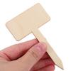 20Pcs Natural Wood Succulent Labels Plant Markers Garden Plant Signs Seedling Markers Horticultural Accessories Bulk