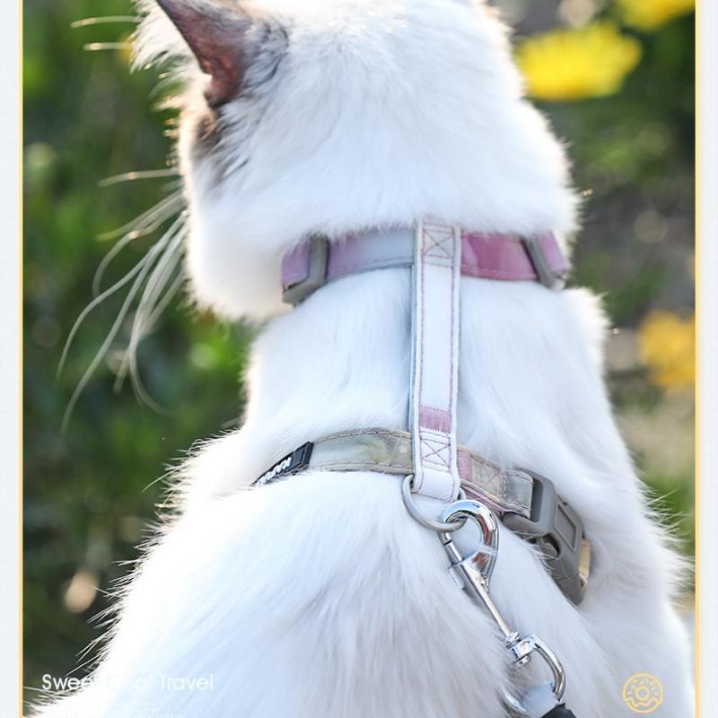 Pet Supplies Harness Belt H-type Anti Loss Traction Rope Adjustable Outdoor Safety Ropes Small and Medium-sized Pet Cat and Dog Chest Strap Set