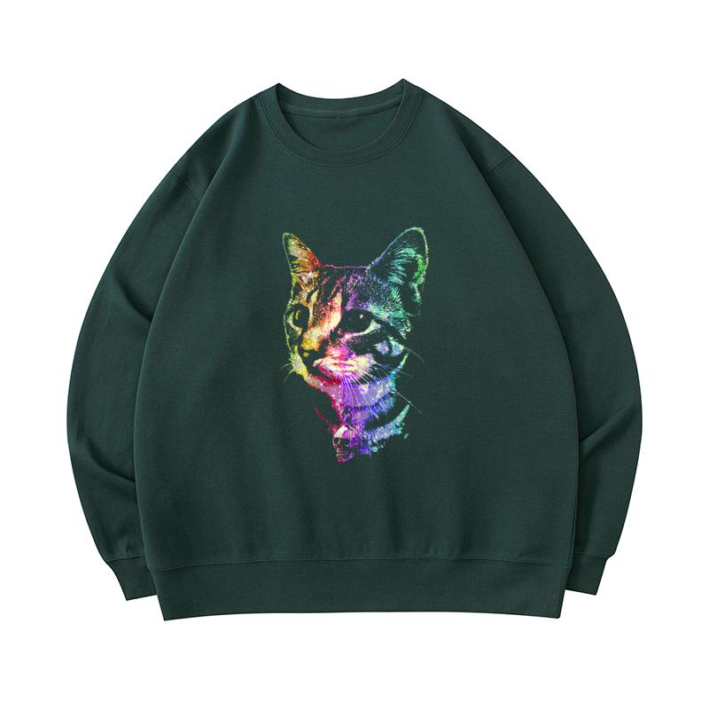 rainbow cat sweater