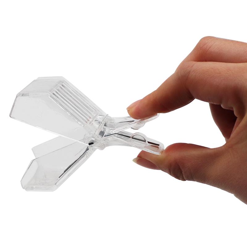 1 Pcs Bee Queen Catcher Clip Stainless Steel /Plastic Cage Beekeeper Equip Isolation Room Beekeeper Apiculture Tool