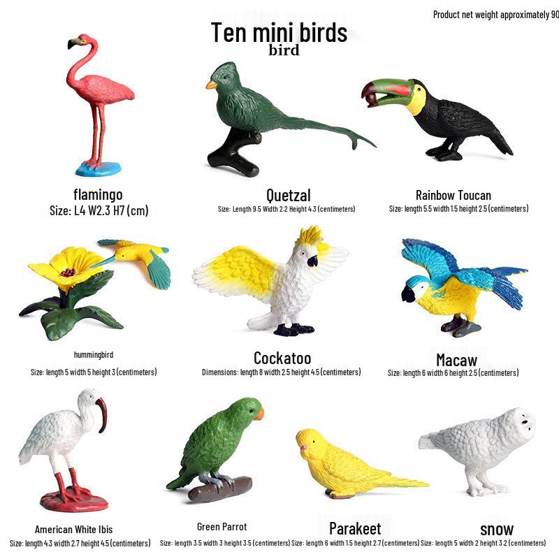 Children's Animal Simulation Toy Set: Eagle, Falcon, Secretary Bird, Owl Figurines