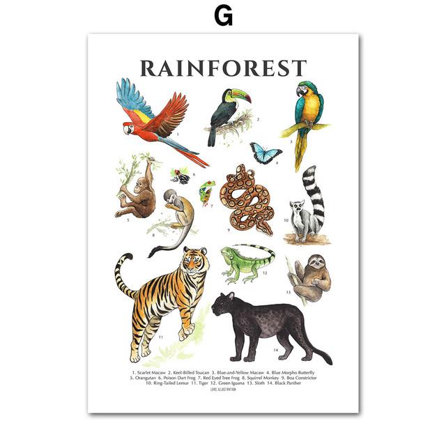 Insekten Vogel Schmetterling Safari Tier Bildung Poster Und Drucke Leinwand Kunst Kindergarten Wand Dekoration Hause Gemälde Baby Kinder Zimmer