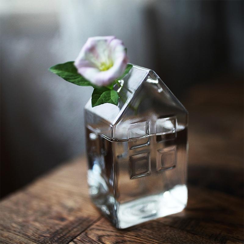62KD House Glass Vase Hydroponics Vase Dried Flower Bottle Decoration Gift