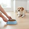 Non-Slip Dog Slow Feeder Bowl Anti-Choking Pet Food Bowl for Dogs Cats Puppy Interactive Feeding Dish