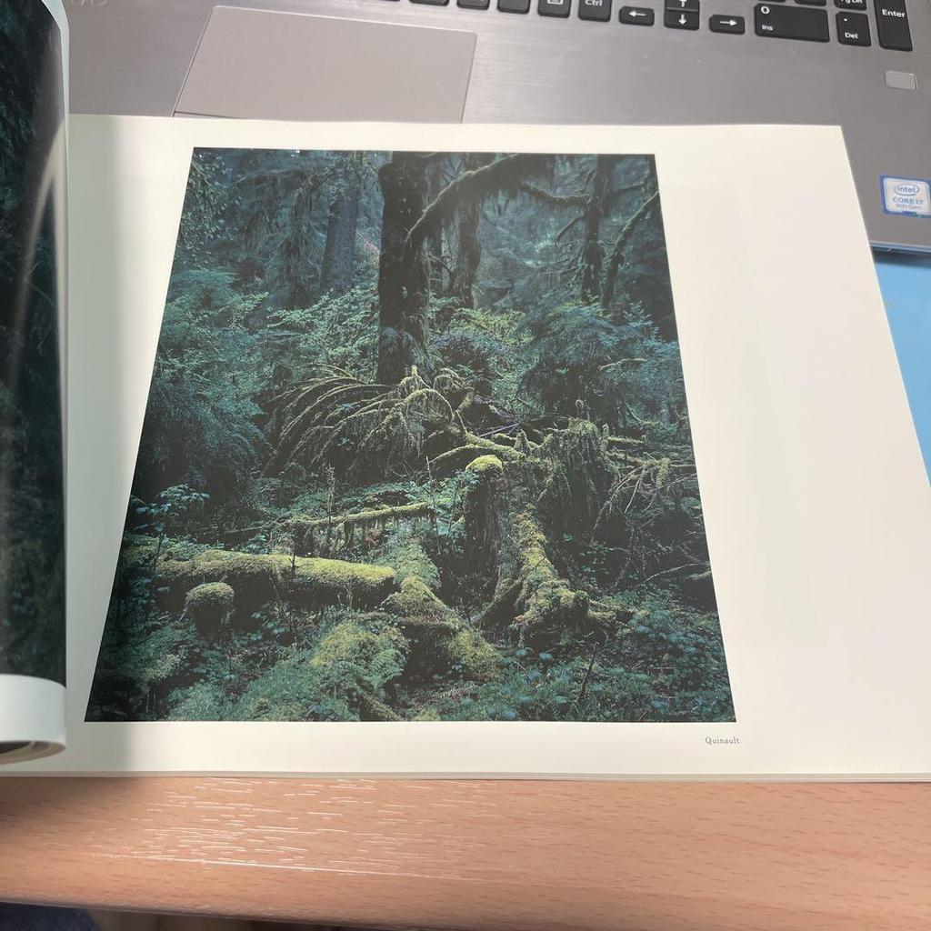 [USED] Photobook: NEW JAPANESE PHOTOGRAPHY IN 1990's