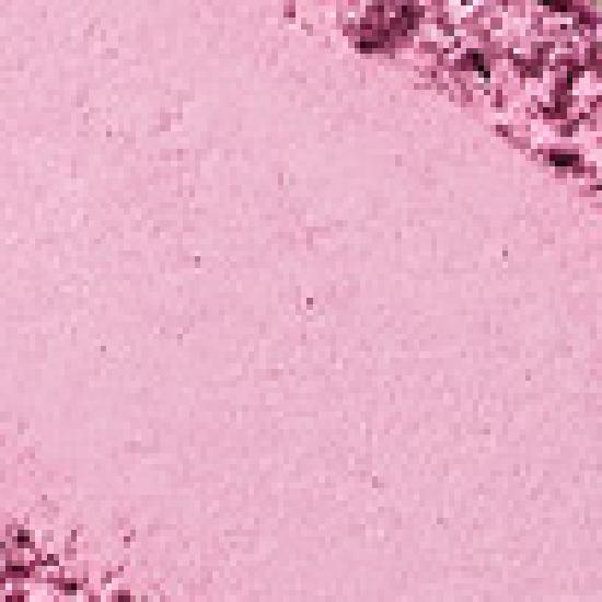 rom&nd slide in single