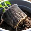 Stainless Steel Insect-Proof Net Bag Rat Prevention Tear Resistant Protective Mesh Bag Dense Mesh Wire Cage Plant Grow Bag